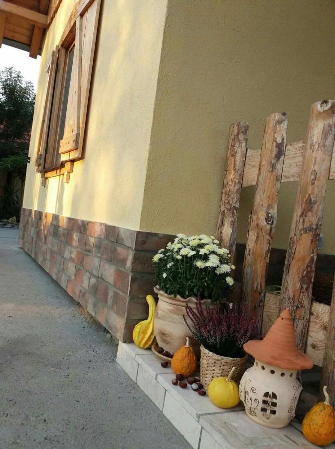 Rita Apartman&Studio Zrenjanin Bagian luar foto