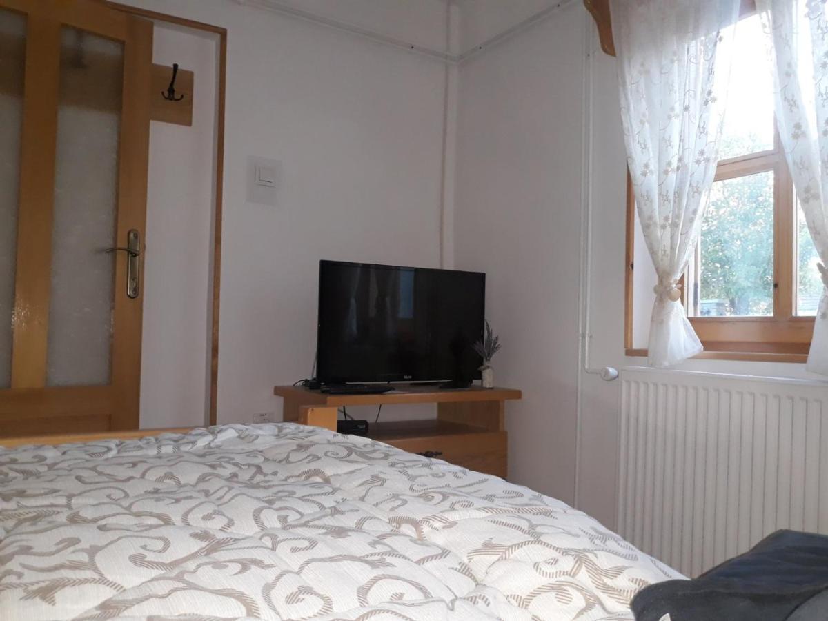 Rita Apartman&Studio Zrenjanin Bagian luar foto