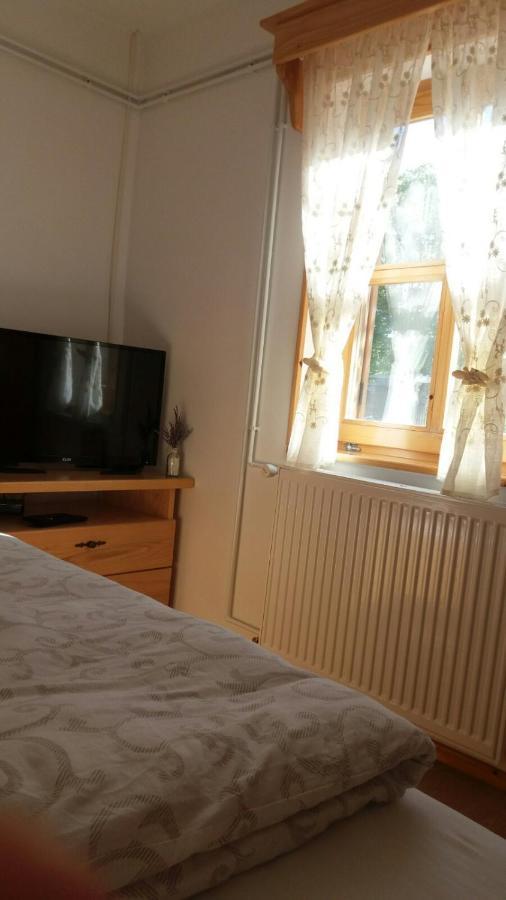 Rita Apartman&Studio Zrenjanin Bagian luar foto