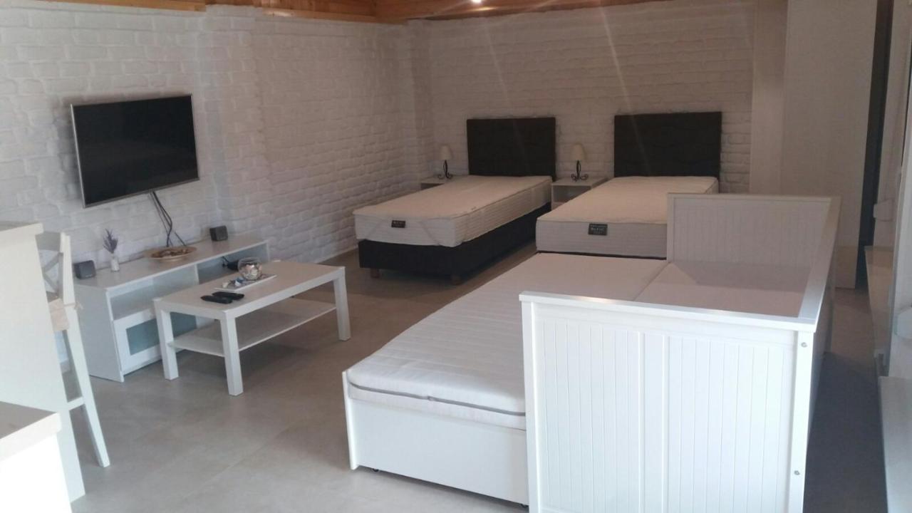 Rita Apartman&Studio Zrenjanin Bagian luar foto