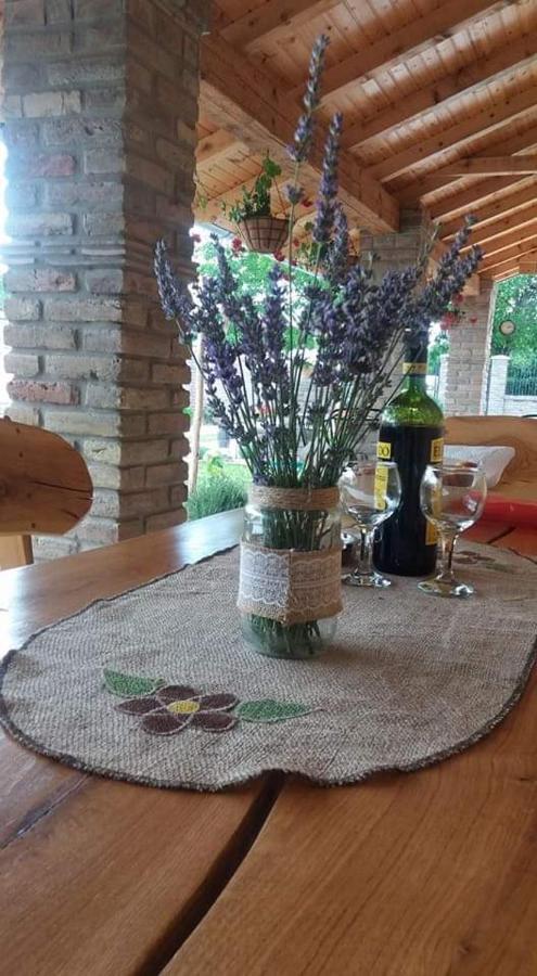 Rita Apartman&Studio Zrenjanin Bagian luar foto