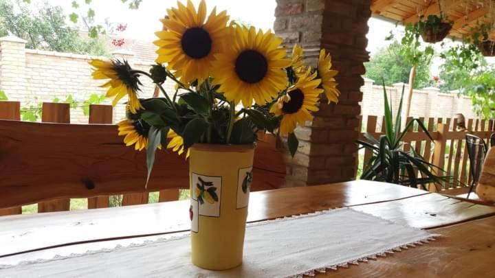 Rita Apartman&Studio Zrenjanin Bagian luar foto